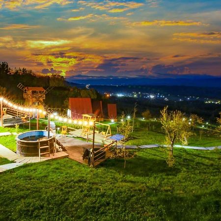 Отель Pensiunea La Maria Lu' Sandoiu Poenari Экстерьер фото