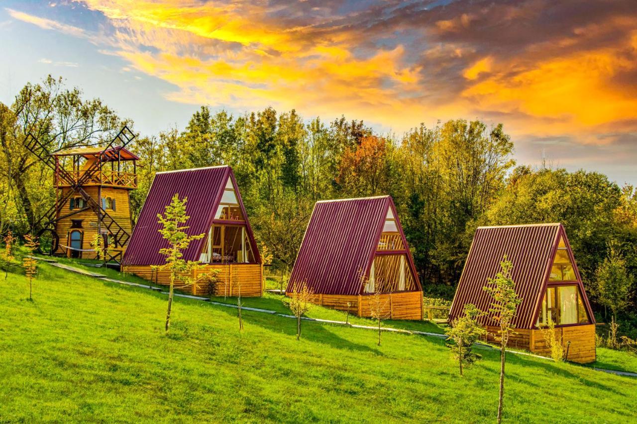 Отель Pensiunea La Maria Lu' Sandoiu Poenari Экстерьер фото